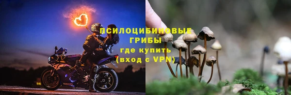 бошки Валуйки