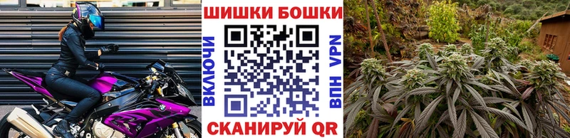 Марихуана сатива  Купить закладки  Бабаево 